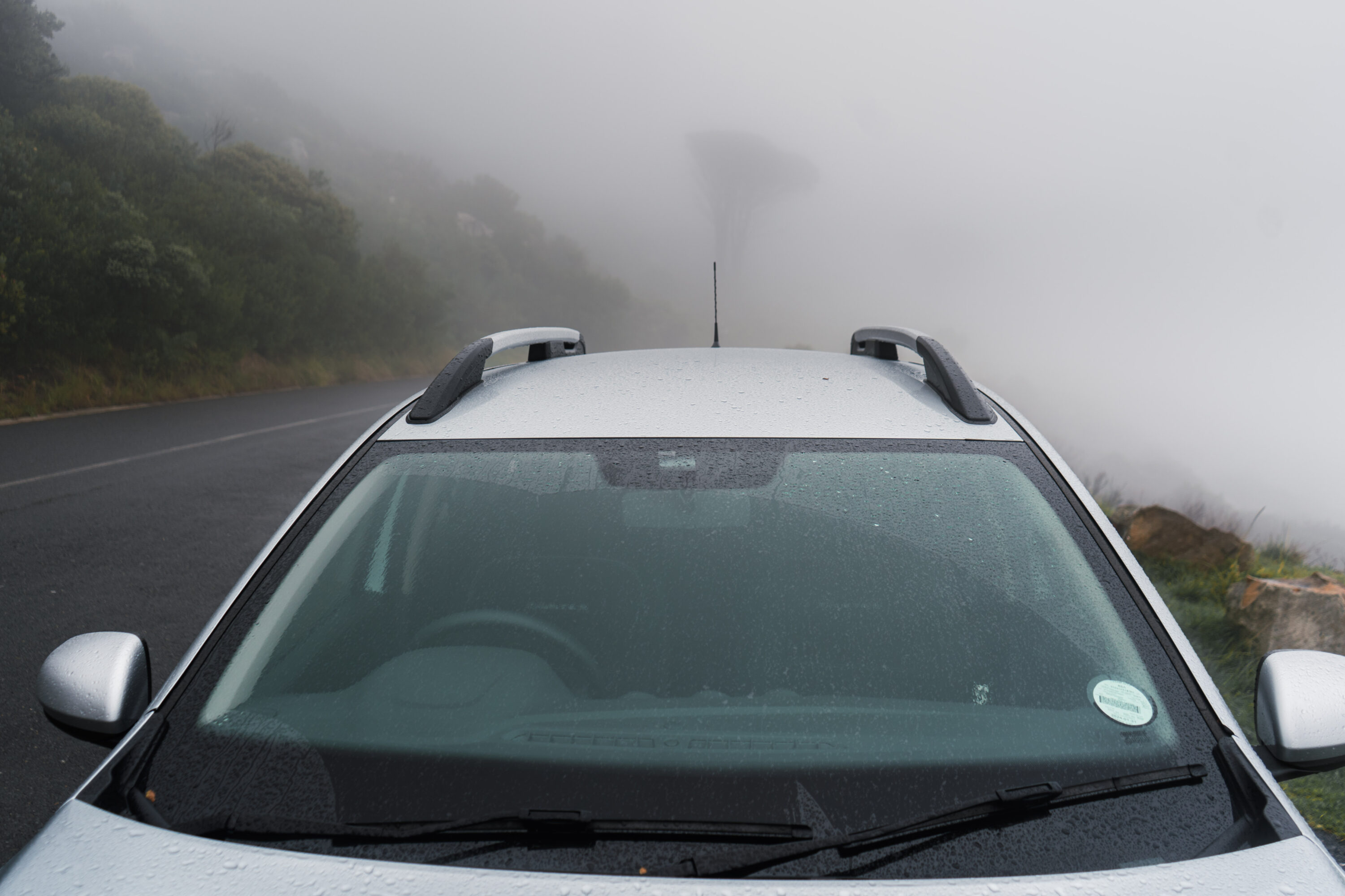Renault Duster roof rail