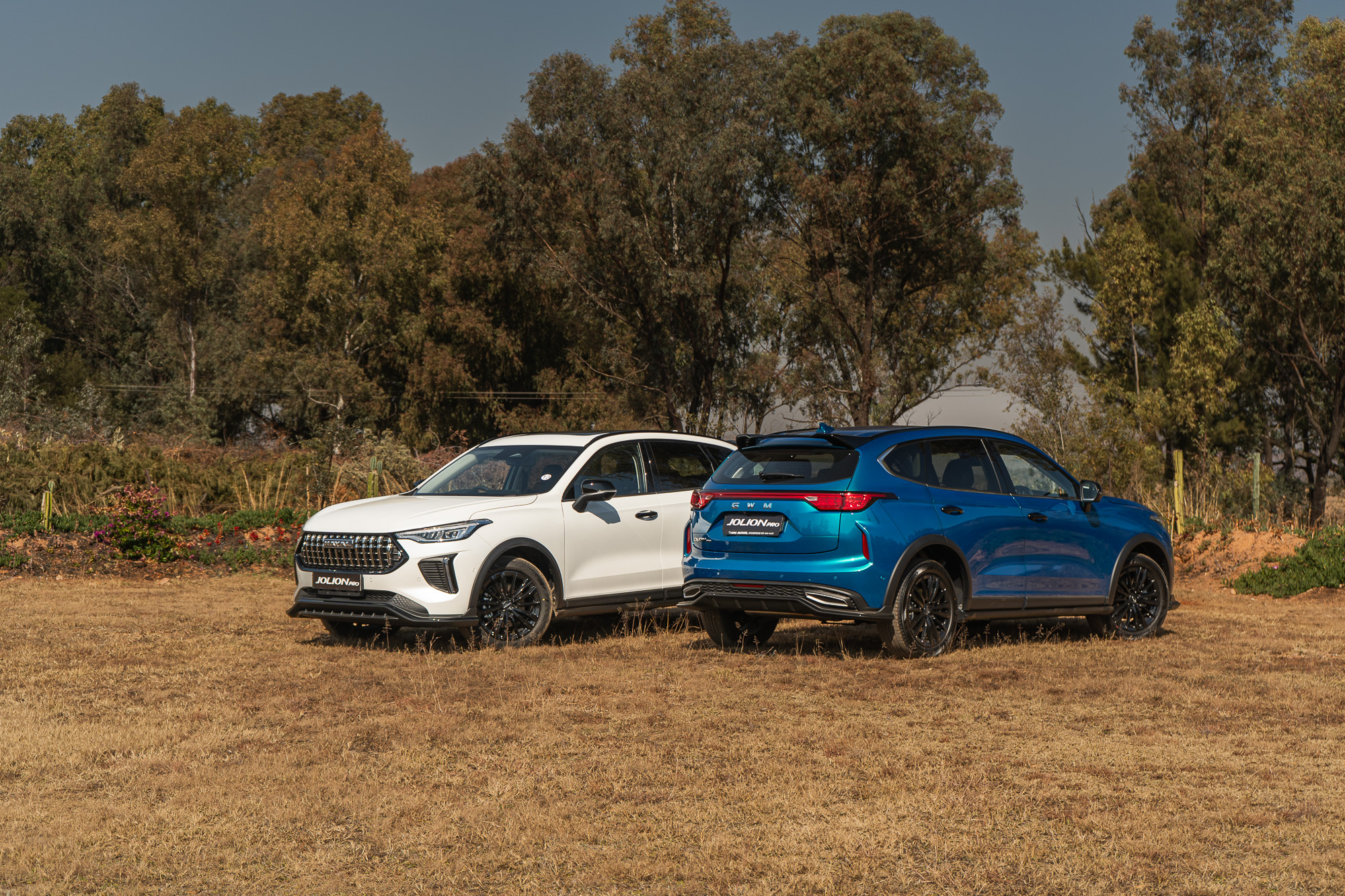 Haval Jolion Pro
